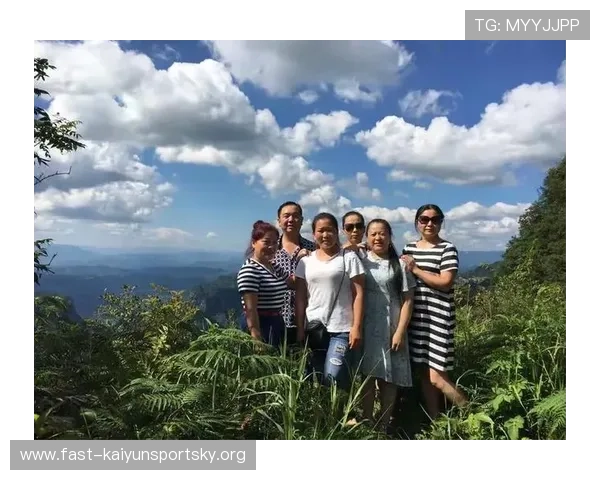 开云平台登录入口常见错误及排查方法帮助用户快速解决登录问题